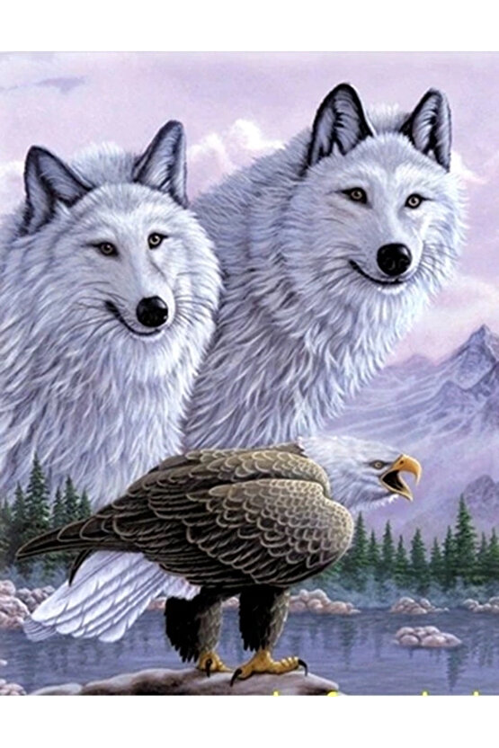 3 Boyutlu Resim Kartallı Kurt Resmi Tablosu 40x60 Cm