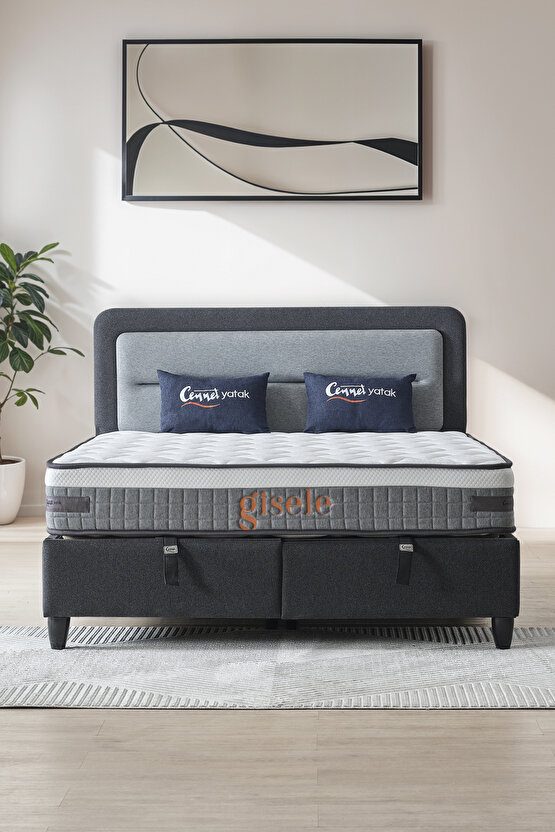 Gisele Modeli Full Ortopedik Çift Kişilik Pedli Yataklı Baza ve Başlık Takımı 3 lü Set