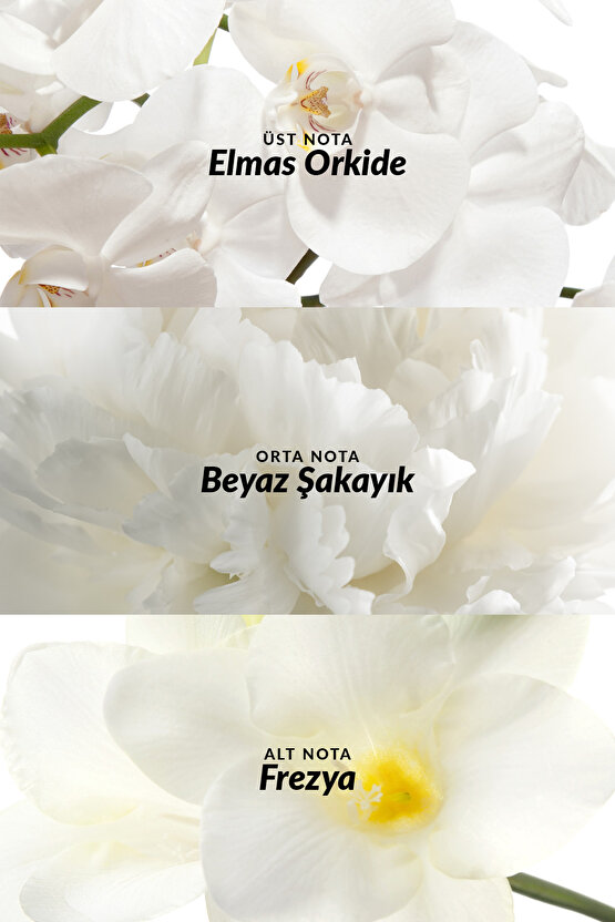 Incandessence Kadın Parfüm Edp 30 Ml. İkili Set