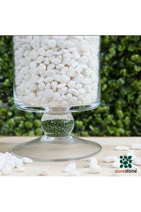 Beyaz Dolomit Taş 25 Kg 1-2 Cm Dere Çakıl Taşı Bahçe Peyzaj Süs Taşı Saksı Teraryum Akvaryum Taş