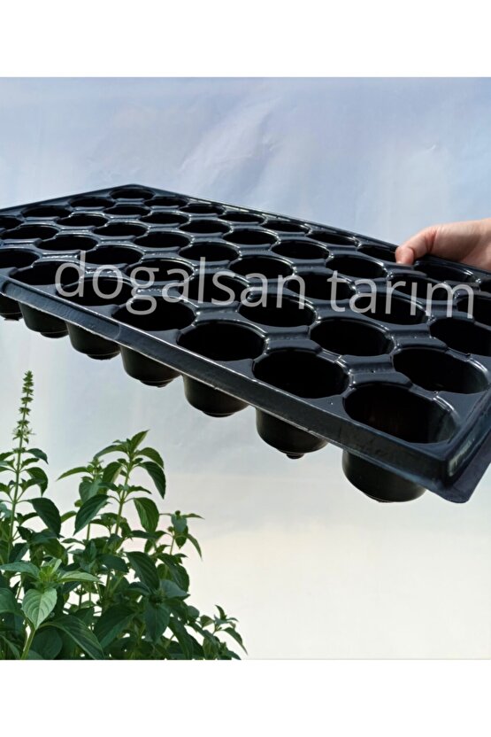 Fide Viyolü 45 Göz 10 Adet Fide Viyol Fide Viyolleri Fide Yetiştirme Kabı Tohum Ekim Kabı Fidelik