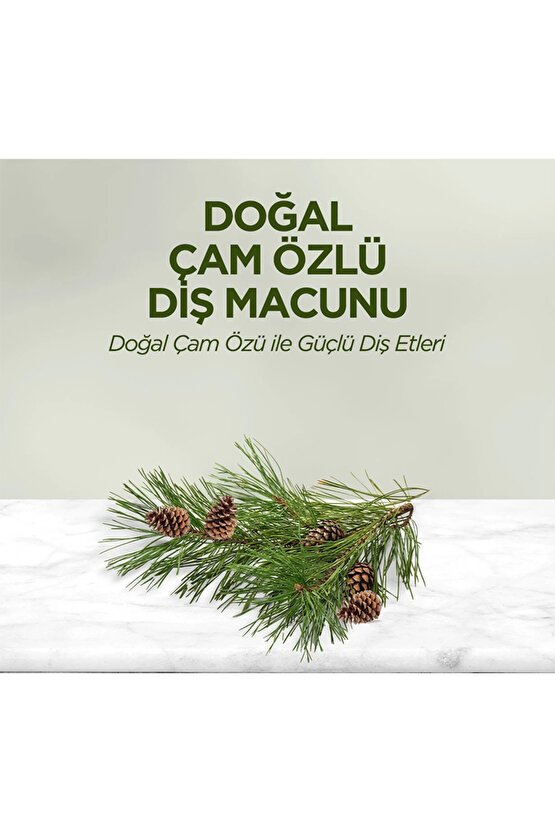 Eyüp Sabri TuncerDoğal Çam Özlü Diş Macunu 90 ml