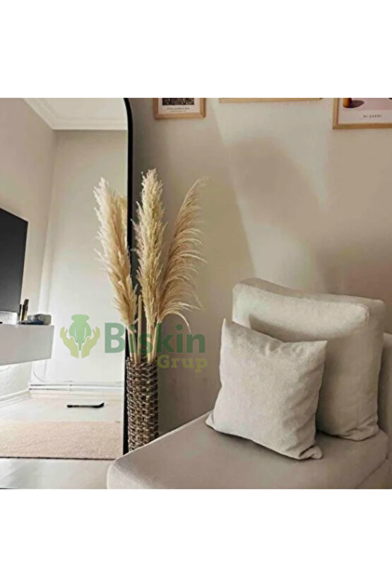 20 Adet Kuru Çiçek Doğal Pampas Dekoratif Ürün