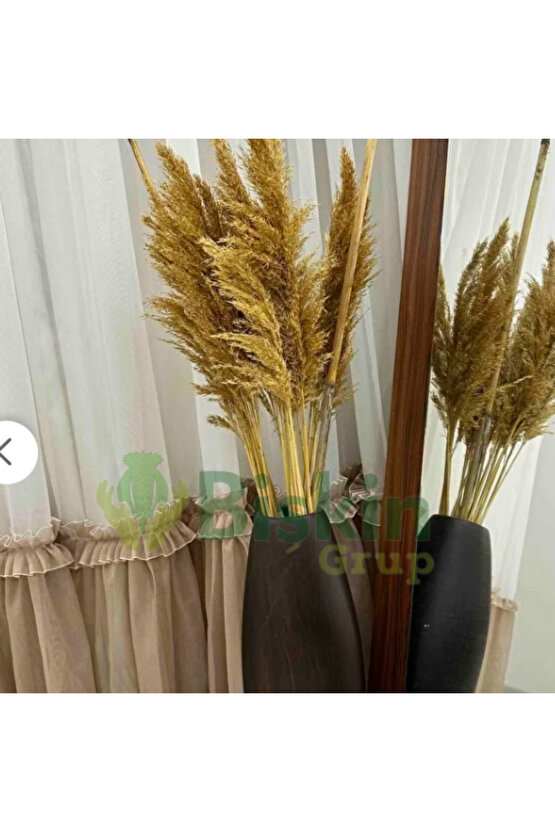 20 Adet Kuru Çiçek Doğal Pampas Dekoratif Ürün