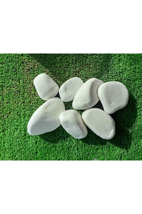 Beyaz Dolomit Taş 20 Kg 2,5-4 Cm Dekoratif Taş Bahçe Süs Taşı