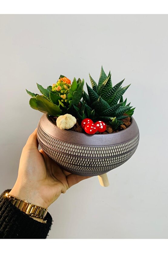 Ayaklı Saksıda Aranjman