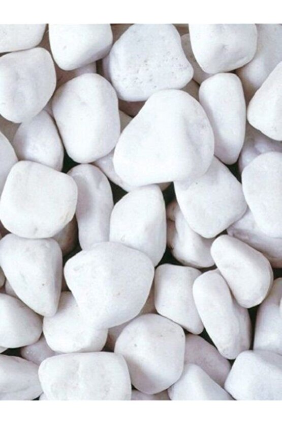 Dolomit Taş Beyaz 4 - 6 Cm  1 Kg