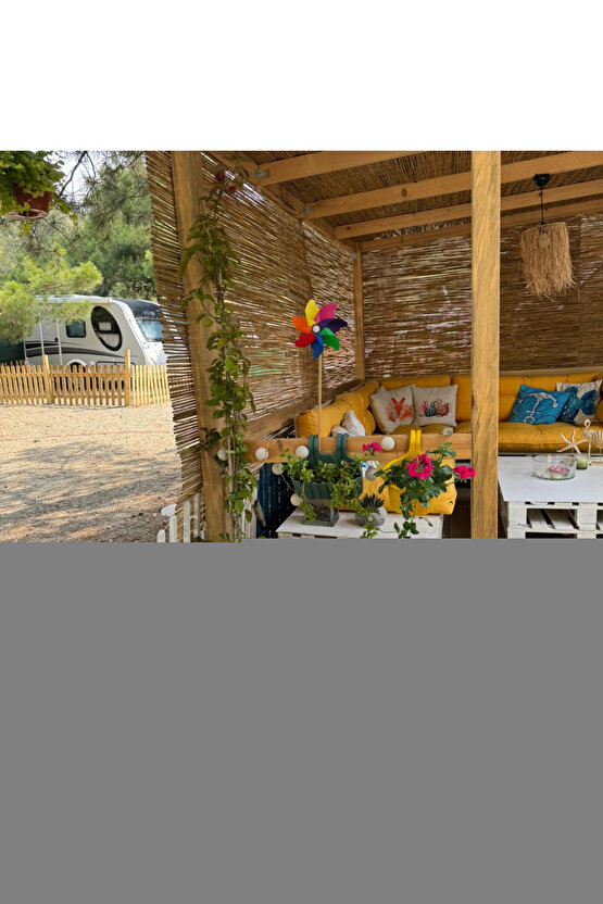 Erkek Bisiklet Yaka Kısa Kol Baskılı T-shirt - Beyaz