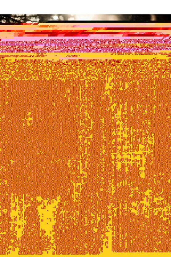 Kadın Kolsuz Fermuarlı Yelek - Kahve