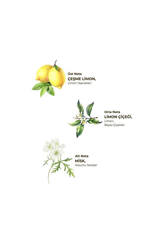 Çeşme Limonu Kolonyası 5 lt - Bag in Box