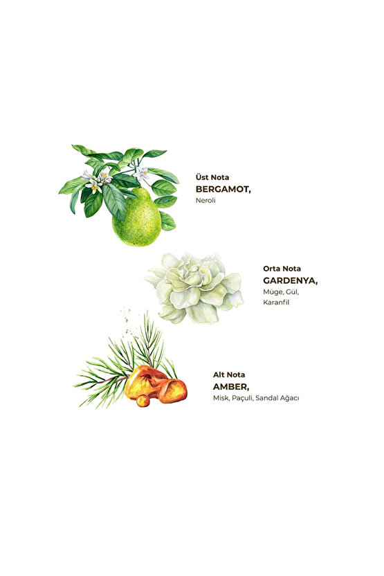 Gardenya Kolonyası 200 ml - Cam Şişe