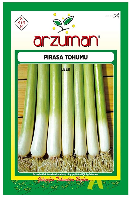 Pırasa Tohumu