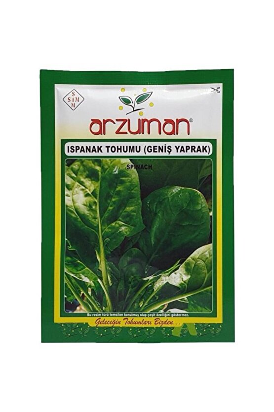Matador İthal Ispanak Tohumu 25 g