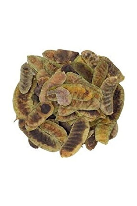 100 gr Açlık Otu