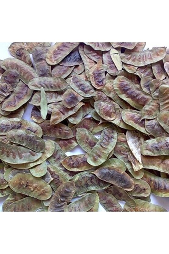 Açlık Otu(kara Sinameke) 40 Gr