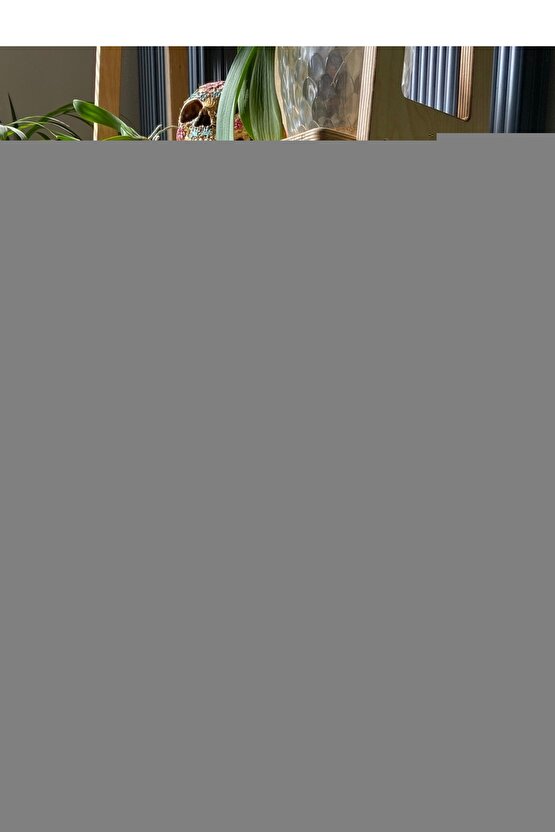 Kadın Kısa Kollu Yakalı Yandan Yırtmaçlı Kalın Fitilli Kaşkorse Elbise