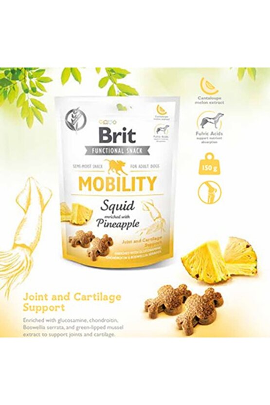 Care Mobility Ananas & Kalamarlı Köpek Ödülü 150 gr
