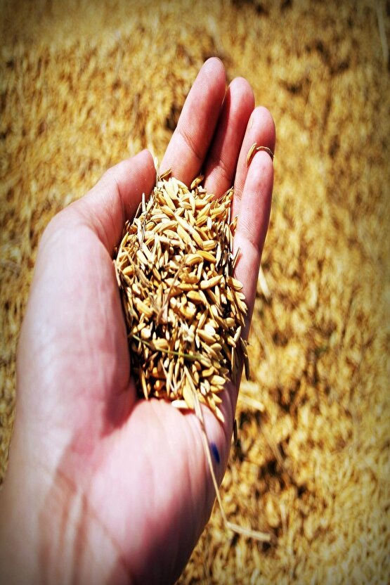 Çim Gübresi 1 Kg Tartılıp Başka Ambalajda Gönderilecektir