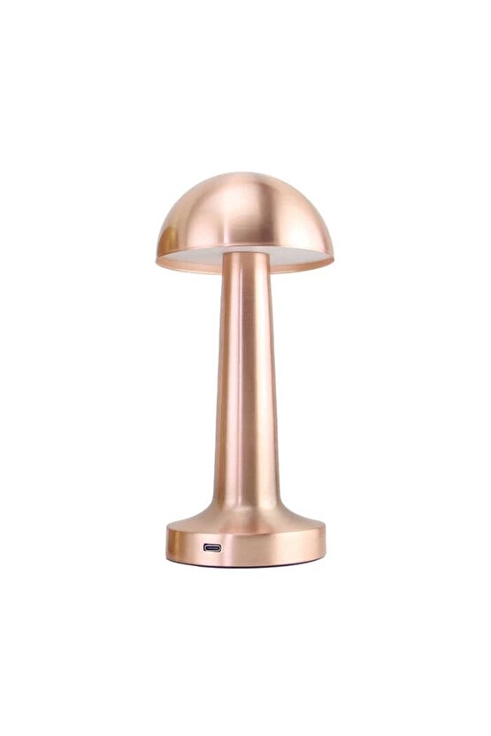 Pt-700 Usb Şarjlı Masa Lambası