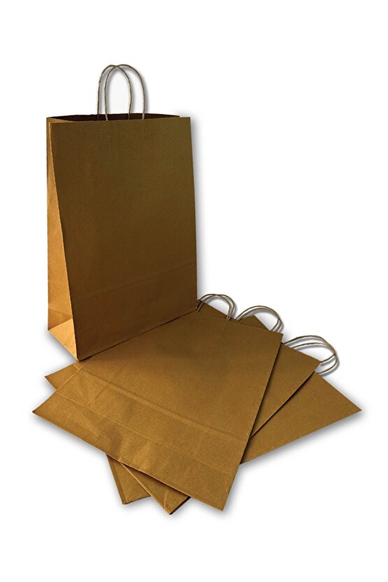 31x12x41 Burgu Saplı Karton Çanta Büyük Boy