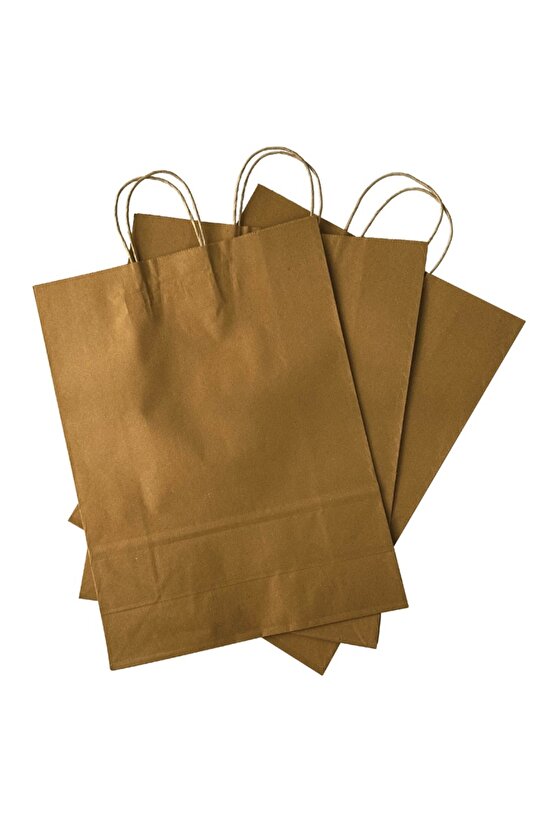 31x12x41 Burgu Saplı Karton Çanta Büyük Boy