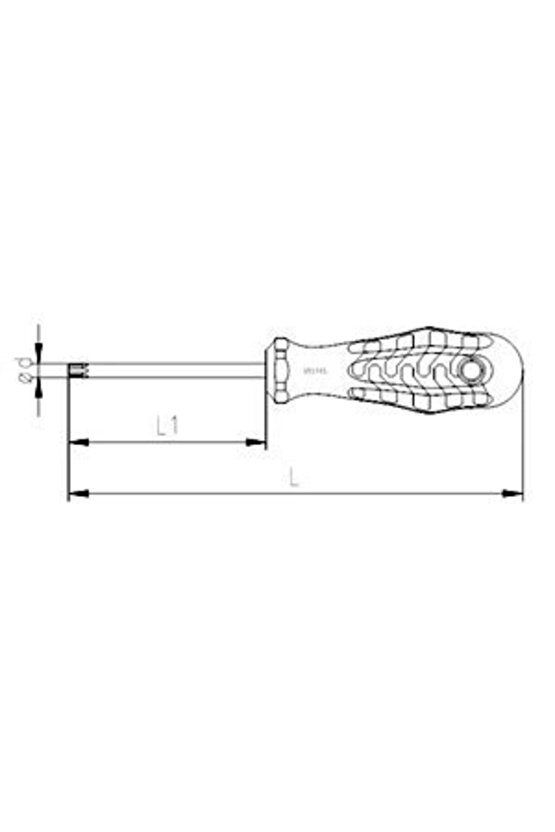4776180015 Delikli Torx Uçlu Tornavida TR15