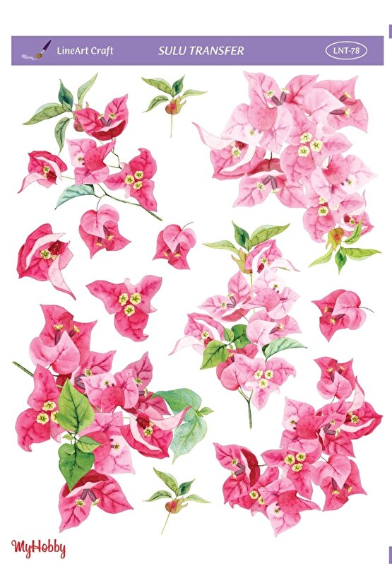Sulu Transfer Lnt78 25x35cm
