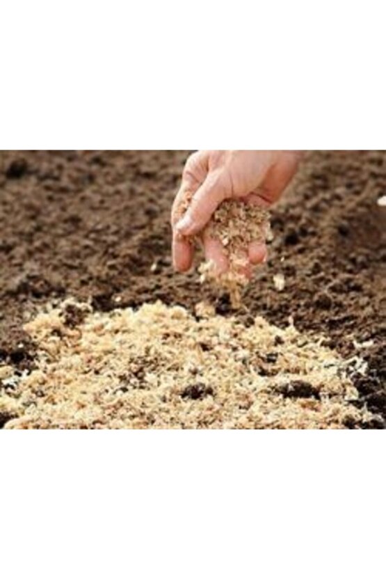 Ince Talaş Dökme 2 Kg