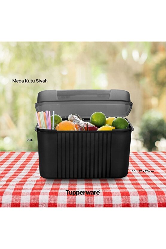 Mega Kutu 7.5 Litre