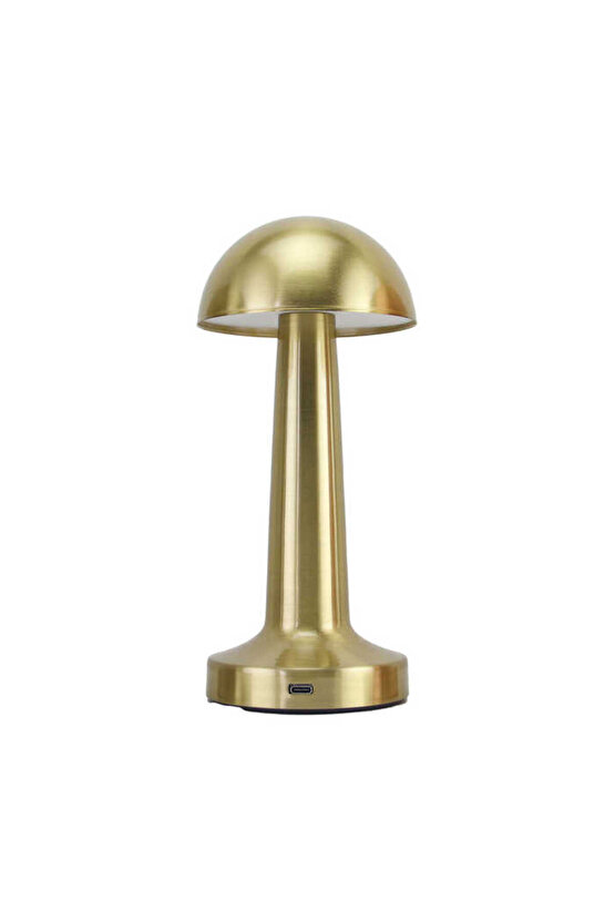 Pt-700 Usb Şarjlı Masa Lambası