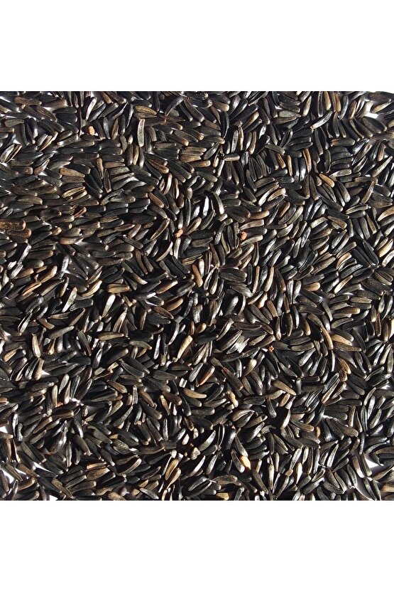 150 gr - Nijer Tohumu - Kuş Yemi