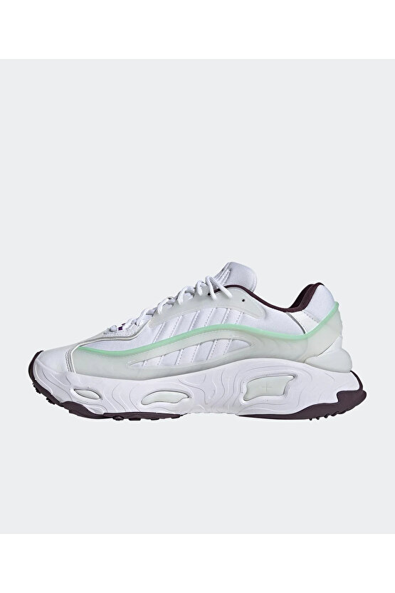 Oznova Kadın Sneaker