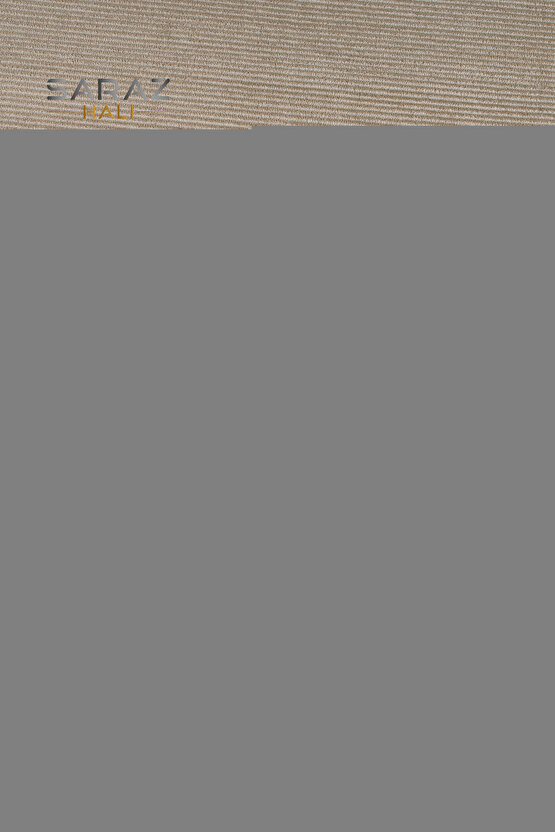 Kadın Ince Biyeli Gece Ayakkabısı Platin