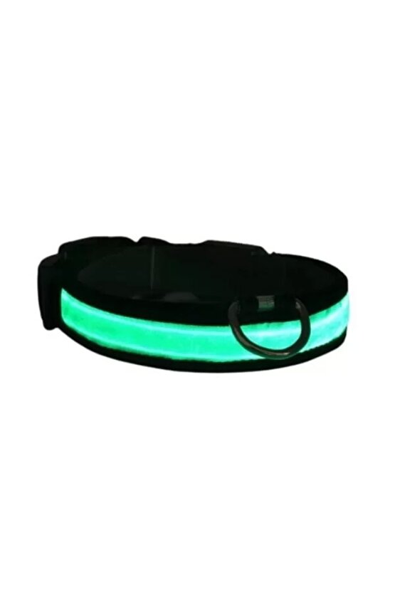 Işıklı Ayarlanabilir Flaşörlü Kedi ve Köpek Boyun Tasması Yeşil 40-48 Cm  2.5 Cm