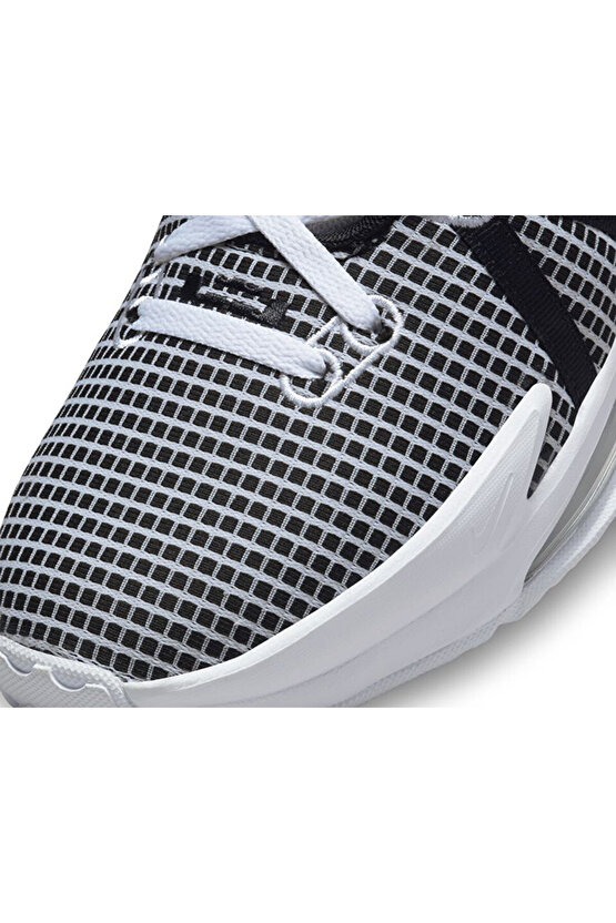 Unisex Basketbol Ayakkabısı DM1123-100 Gri Lebron Witness Vii