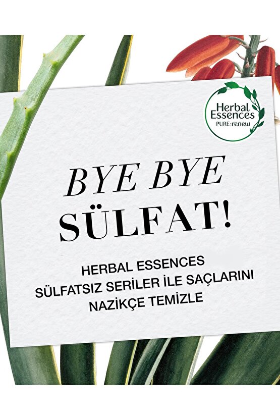 Sülfatsız Renk Koruma Ve Nem Aloe + Mango Saç Bakım Kremin 275 ml