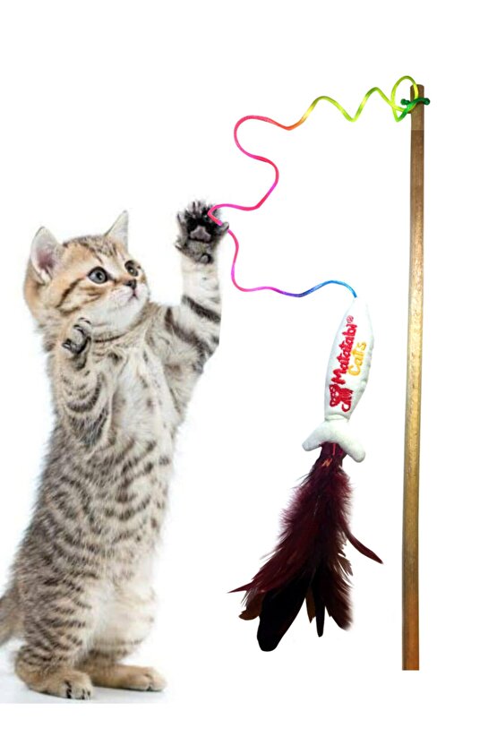 Jr. Fish Kedi Oltası Ahşap Saplı, Sesli Kumaş Kedi Oyuncağı (Kedi NanesiOtu İçermez)