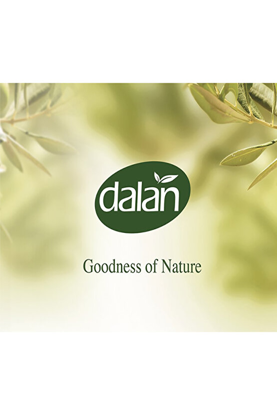 Kiraz Çiçeği & Doğal Minareller X4 KUTU