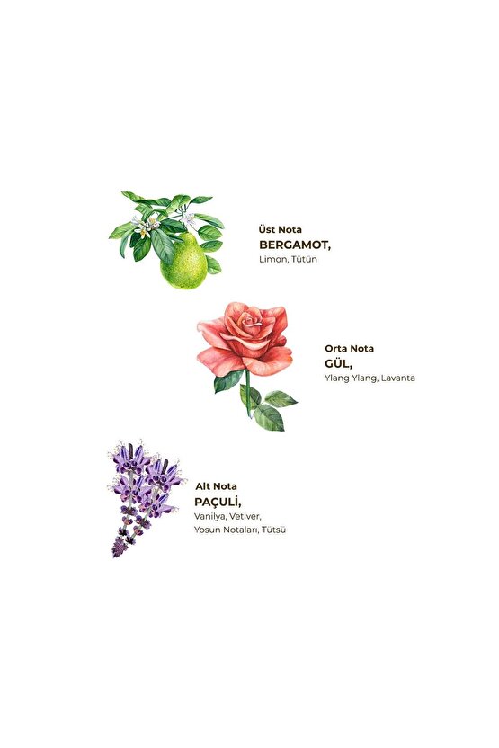 Tütün Kolonyası 200 ml - Cam Şişe