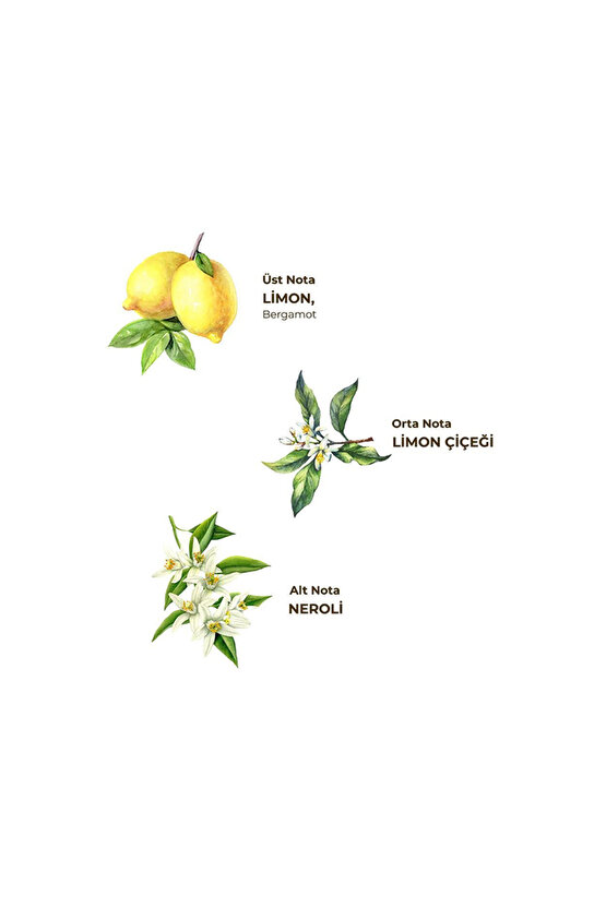 Tıraş Kolonyası No:4 250Ml