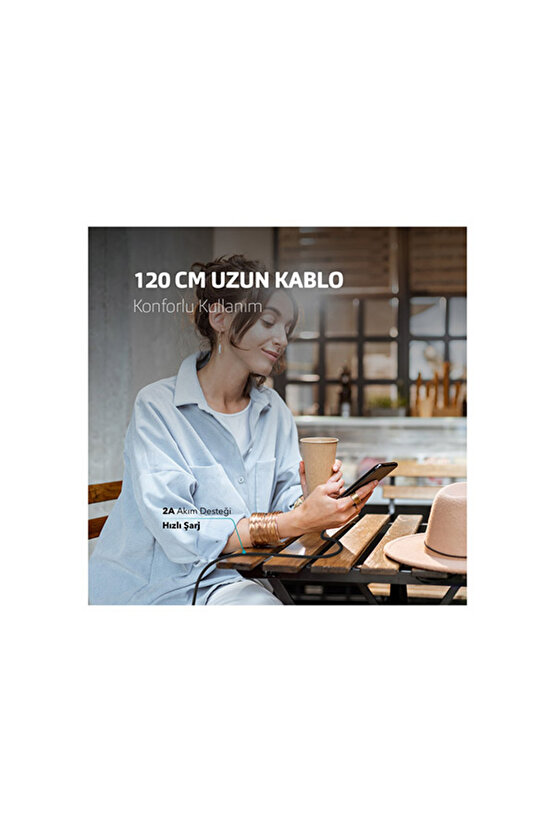 Tec Alumicable Iphone Şarj Kablosu 2DK16A,Altın