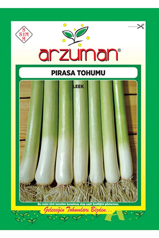 Pırasa Tohumu