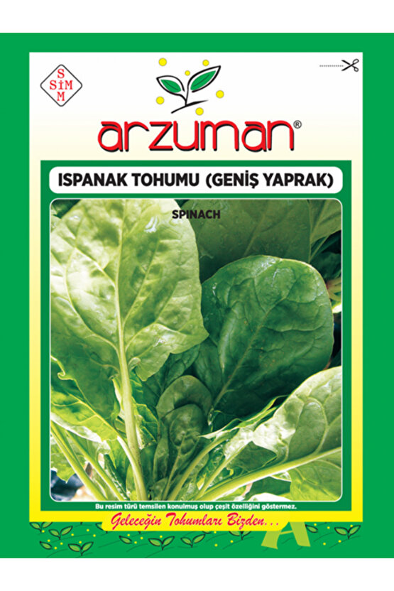 Ispanak Tohumu (Geniş Yaprak) 10gr