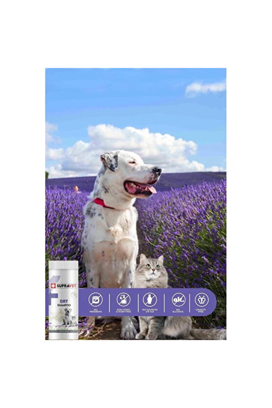 Dry Shampoo Lavanta Özlü Kedi ve Köpek Toz Şampuan 150 Ml