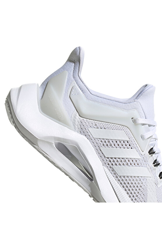 Alphatorsion 2.0 Running Kadın Spor Ayakkabı