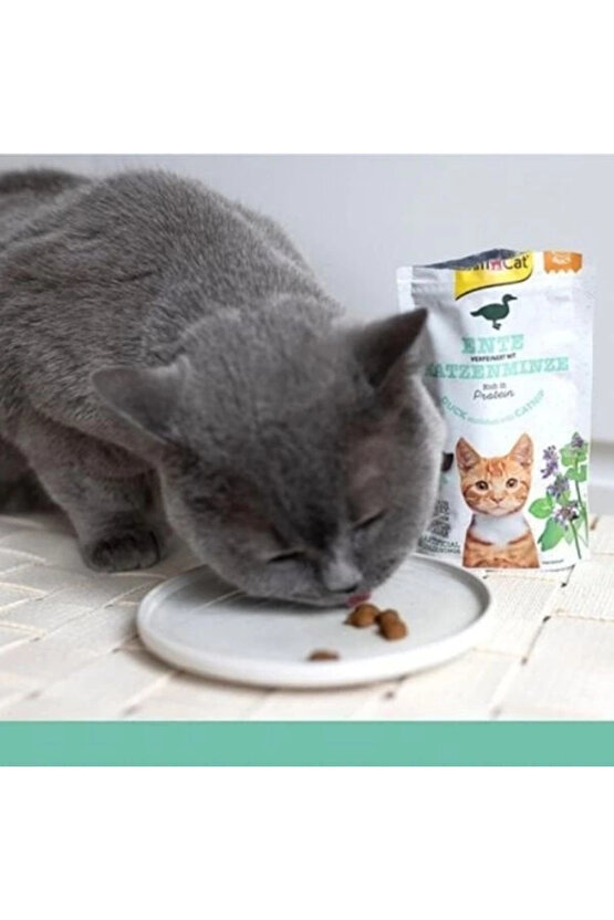 Crunchy Snacks Ördekli ve Kedi Naneli Tahılsız Kedi Ödül Maması 50 Gr