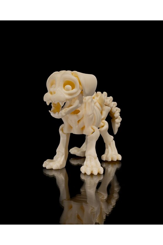 İskelet Köpek (iskelet koleksiyonu)