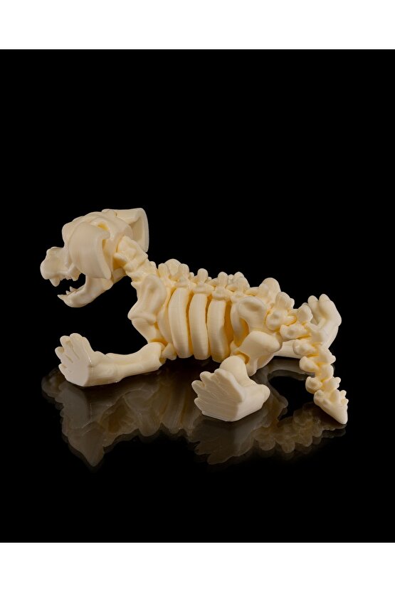 İskelet Köpek (iskelet koleksiyonu)