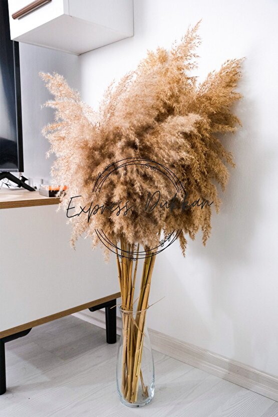 15 Adet Doğal Pampas Kuru Çiçek ile Evine Şık Dokunuş