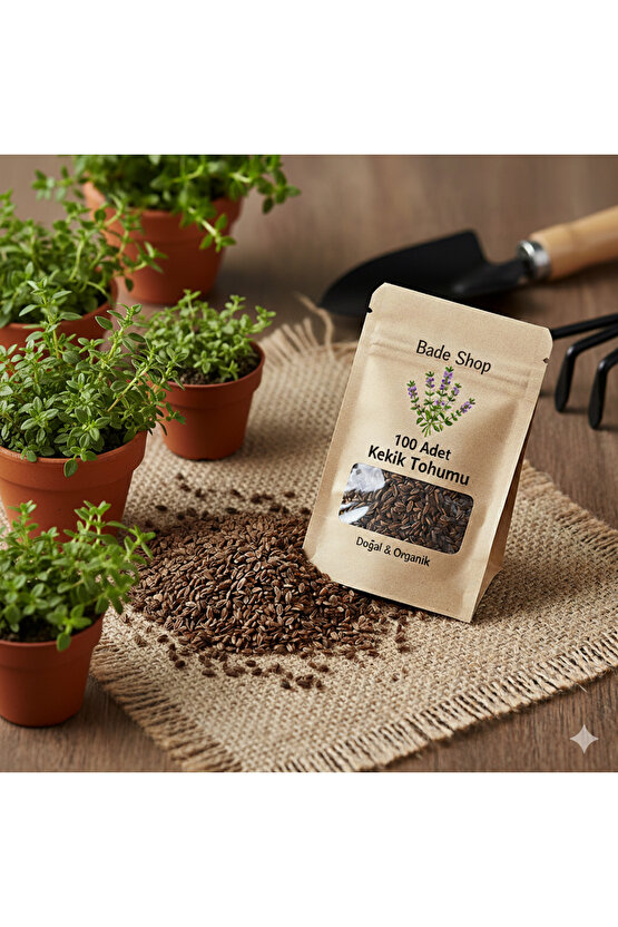 100 Adet Kekik Tohumu | Tıbbi Aromatik Bitki Tohumları | Doğal Kekik Bitkisi Tohumu